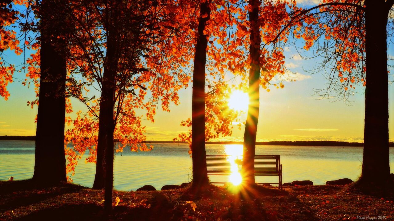 A beautiful fall sunset over the bay, with sun shining between tall, leafy trees.